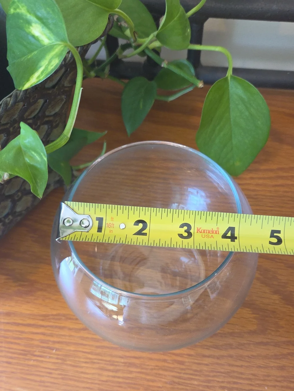 Clear Glass Fishbowl Vase